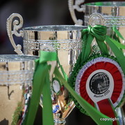 2010 Menton Arabian Horse Show