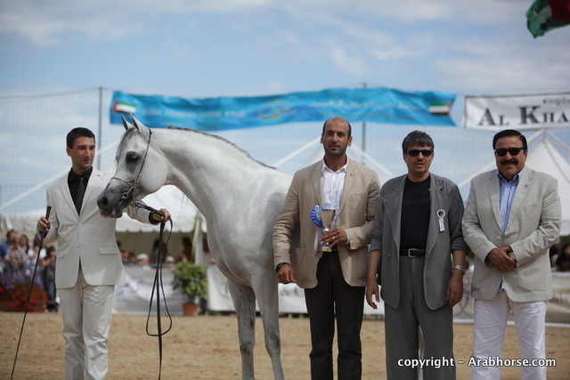 2010 Menton Arabian Horse Show