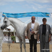 2010 Menton Arabian Horse Show
