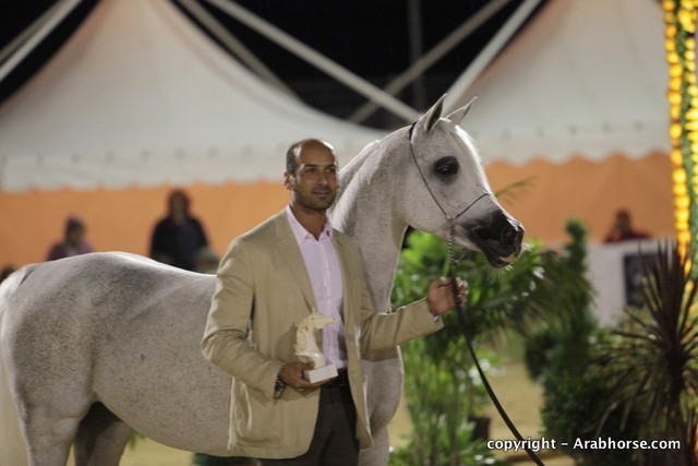 2010 Menton Arabian Horse Show