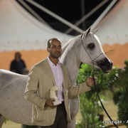 2010 Menton Arabian Horse Show