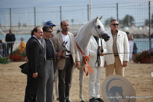 2010 Menton Arabian Horse Show