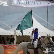 2010 Menton Arabian Horse Show