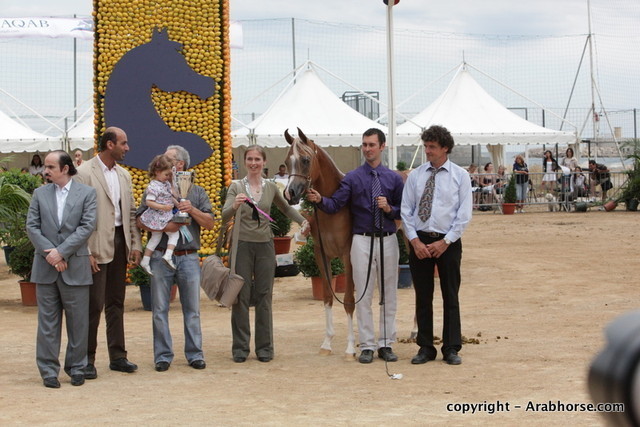2010 Menton Arabian Horse Show