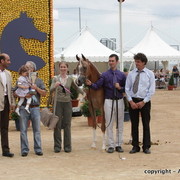 2010 Menton Arabian Horse Show
