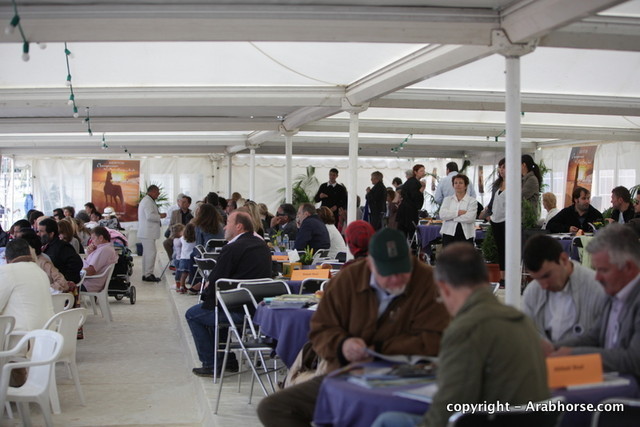 2010 Menton Arabian Horse Show