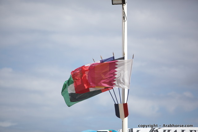 2010 Menton Arabian Horse Show