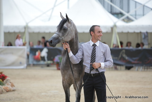 2010 Menton Arabian Horse Show