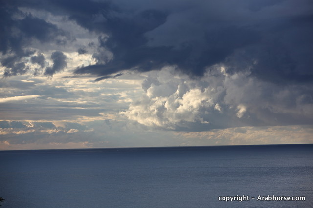 2010 Menton Arabian Horse Show