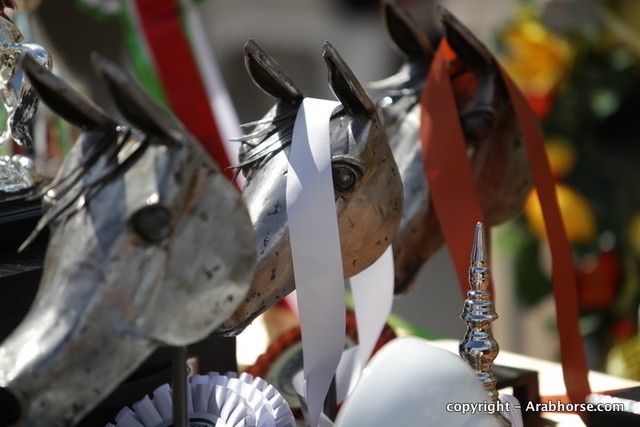 2010 Menton Arabian Horse Show