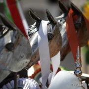 2010 Menton Arabian Horse Show