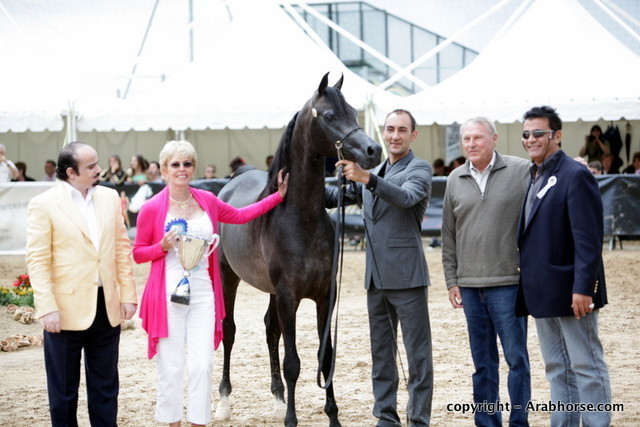2010 Menton Arabian Horse Show