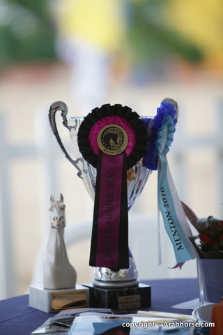 2010 Menton Arabian Horse Show