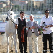 2010 Menton Arabian Horse Show