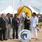 2010 Menton Arabian Horse Show