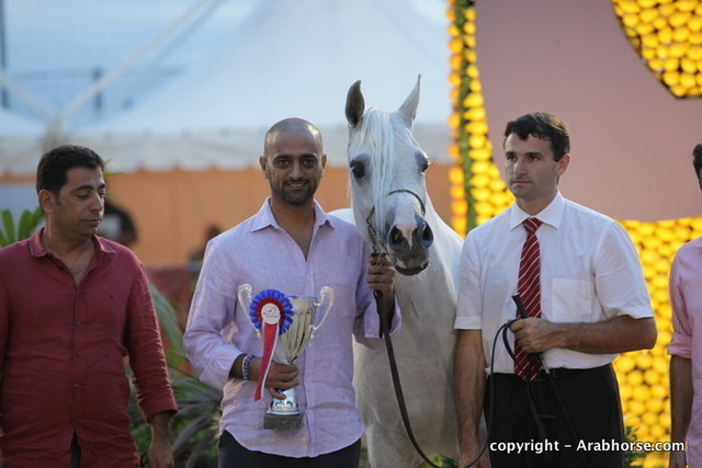 2010 Menton Arabian Horse Show