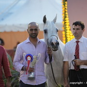 2010 Menton Arabian Horse Show