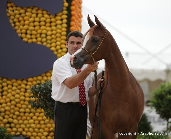2010 Menton Arabian Horse Show