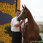 2010 Menton Arabian Horse Show