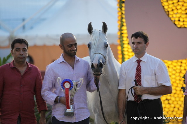 2010 Menton Arabian Horse Show