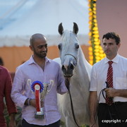 2010 Menton Arabian Horse Show