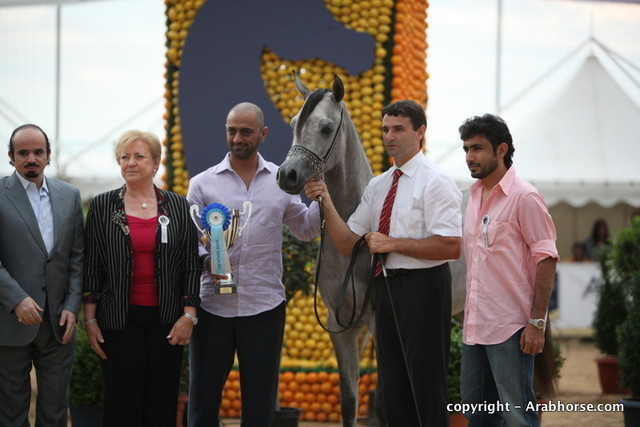 2010 Menton Arabian Horse Show