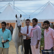 2010 Menton Arabian Horse Show