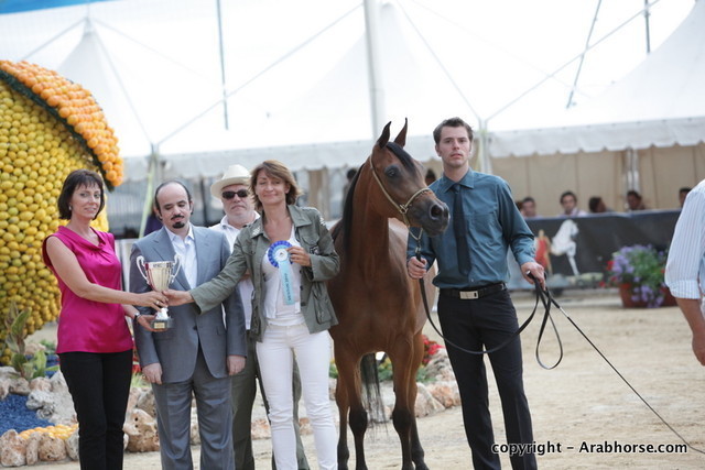 2010 Menton Arabian Horse Show