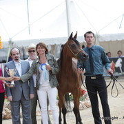 2010 Menton Arabian Horse Show