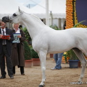 2010 Menton Arabian Horse Show