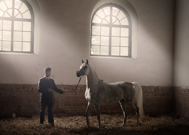 Pride of Poland 2012 Preview