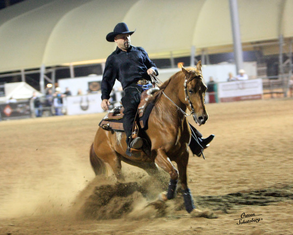 2010 ARHA Celebrity Slide - Halter and Performance trainer Eric Krichten.