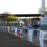  	 2010 ARHA Celebrity Slide 