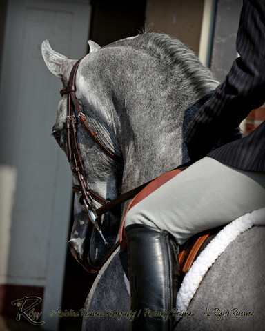 2010 Buckeye Sweepstake - C. Rousseau