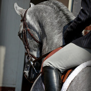 2010 Buckeye Sweepstake - C. Rousseau