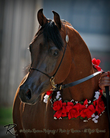 2010 Buckeye Sweepstake - C. Rousseau