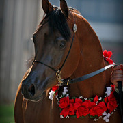 2010 Buckeye Sweepstake - C. Rousseau