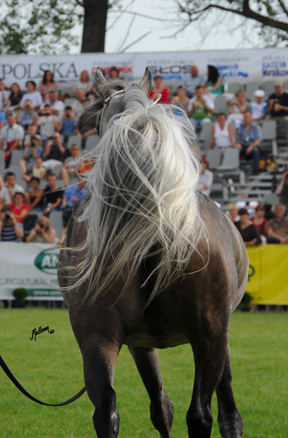2010 Pride of Poland