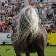 2010 Pride of Poland