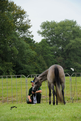 2010 Pride of Poland