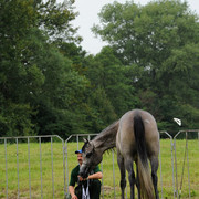 2010 Pride of Poland