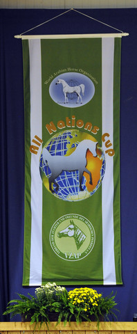 2010 All Nations Cup