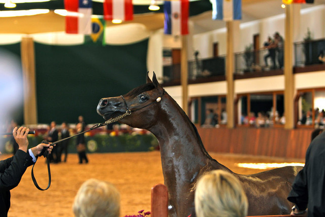 2010 Brazilian Nationals