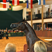 2010 Brazilian Nationals