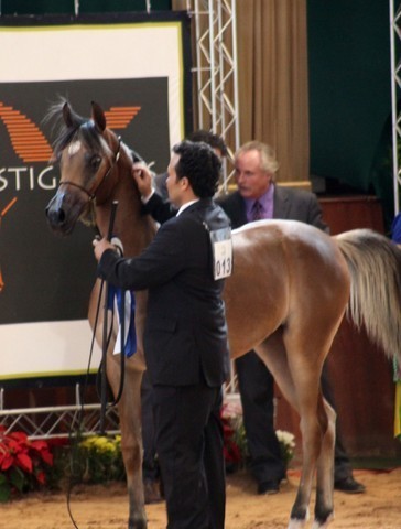 2010 Brazilian Nationals