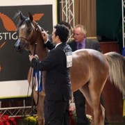 2010 Brazilian Nationals