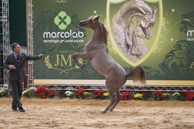 2010 Brazilian Nationals