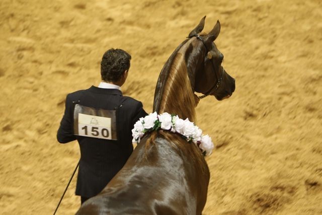 2010 Brazilian Nationals