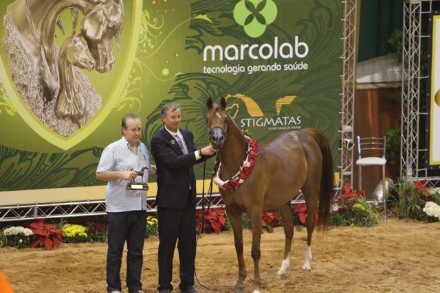 2010 Brazilian Nationals