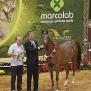 2010 Brazilian Nationals